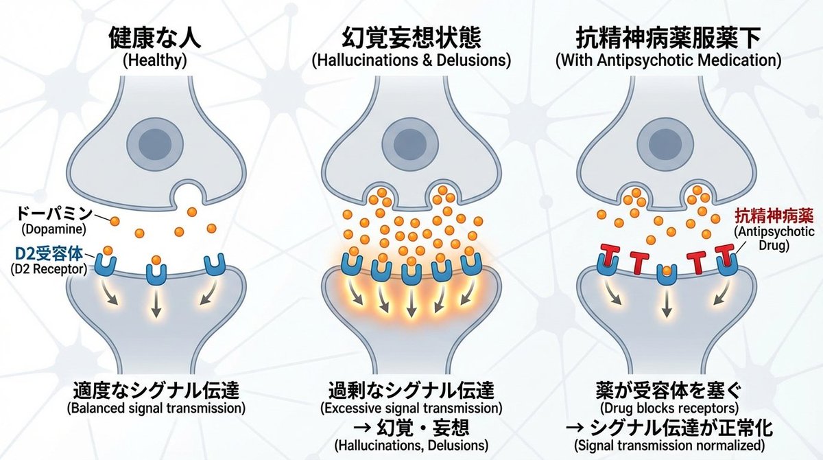 Dopamine D2 Receptors and Schizophrenia