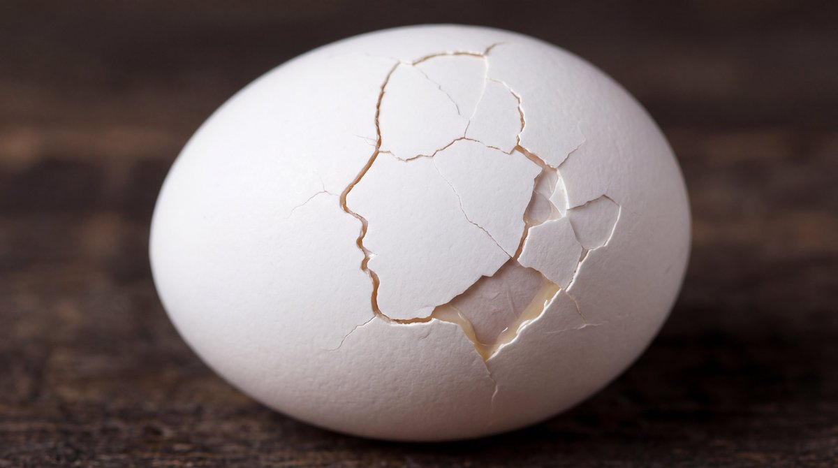 Cracked Egg Art Photography