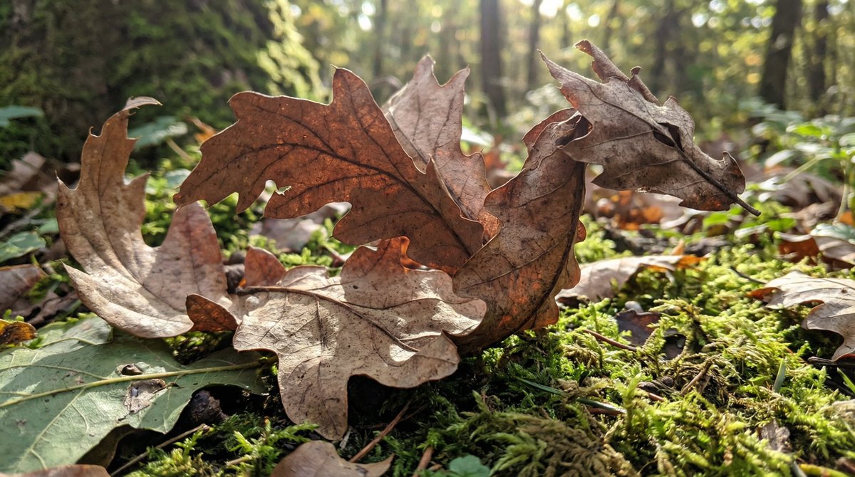Dragon-Shaped Leaf Discovery