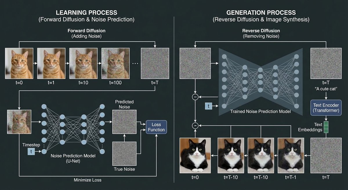 Illustrating Diffusion Model Image Generation