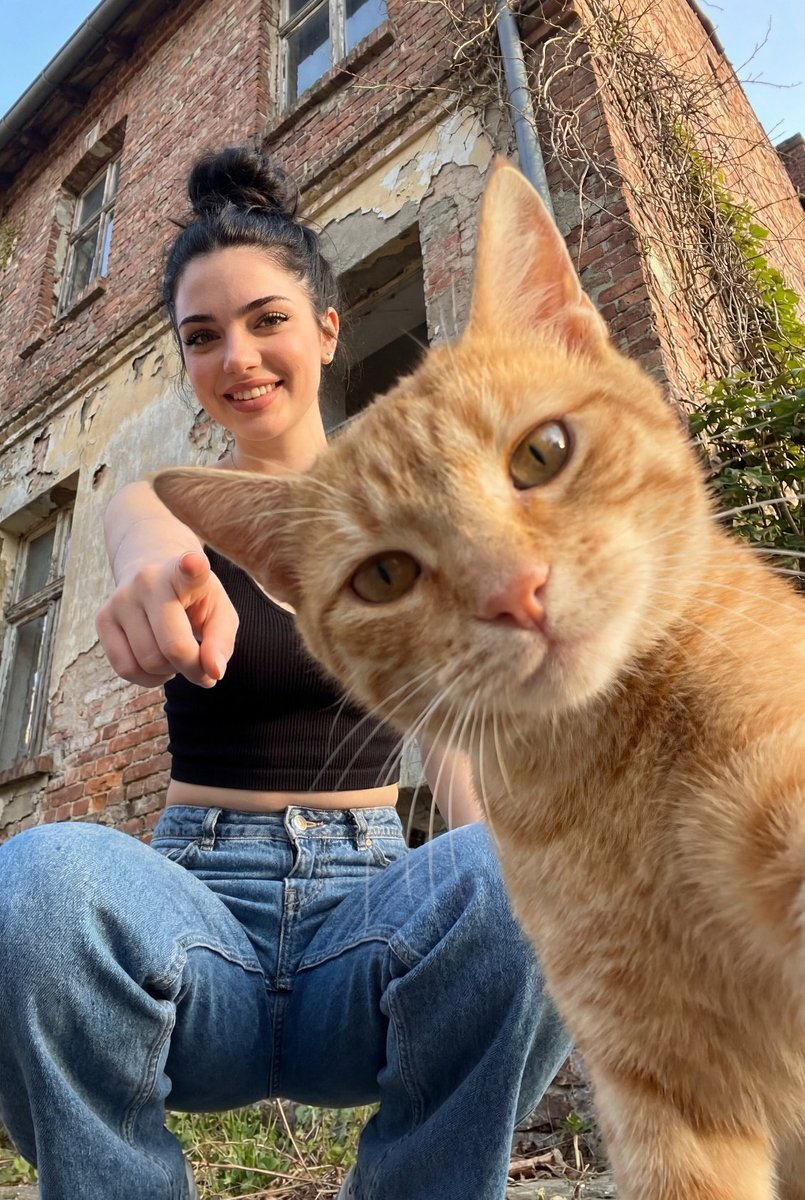 Worm Eye View Cat Encounter