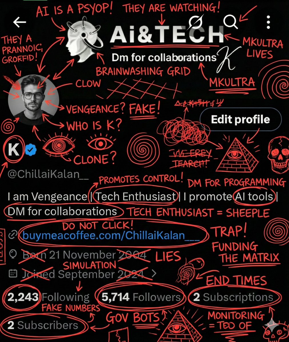 Insane Schizophrenic Conspiracy Scribbles