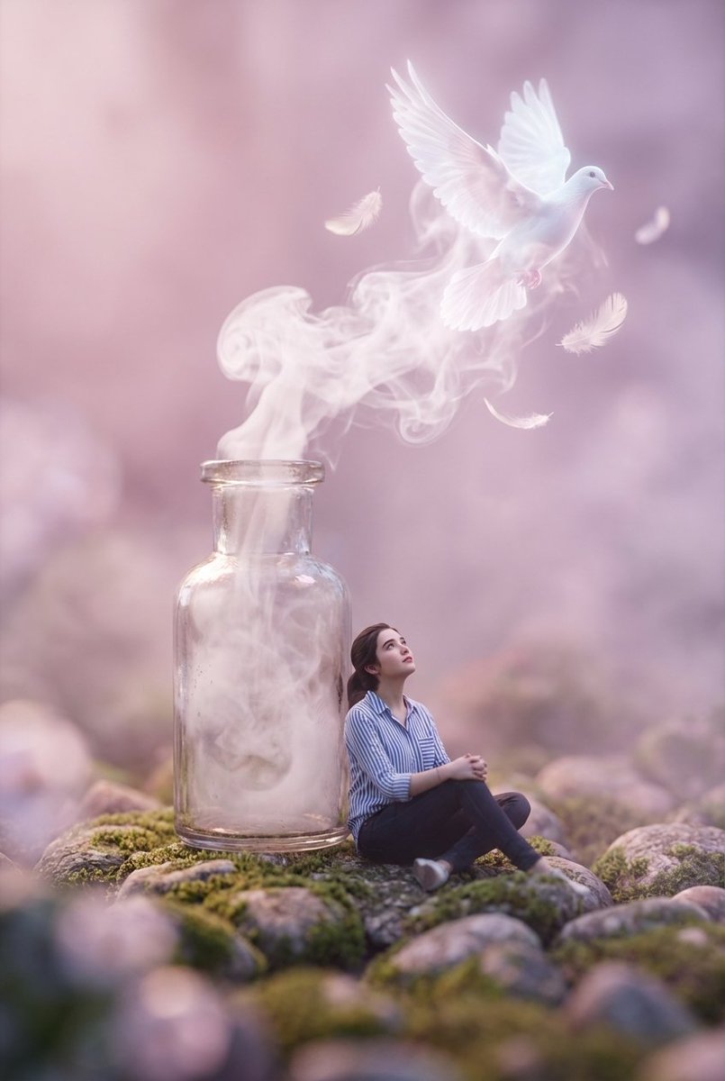 Bottle Dove Dreamscape
