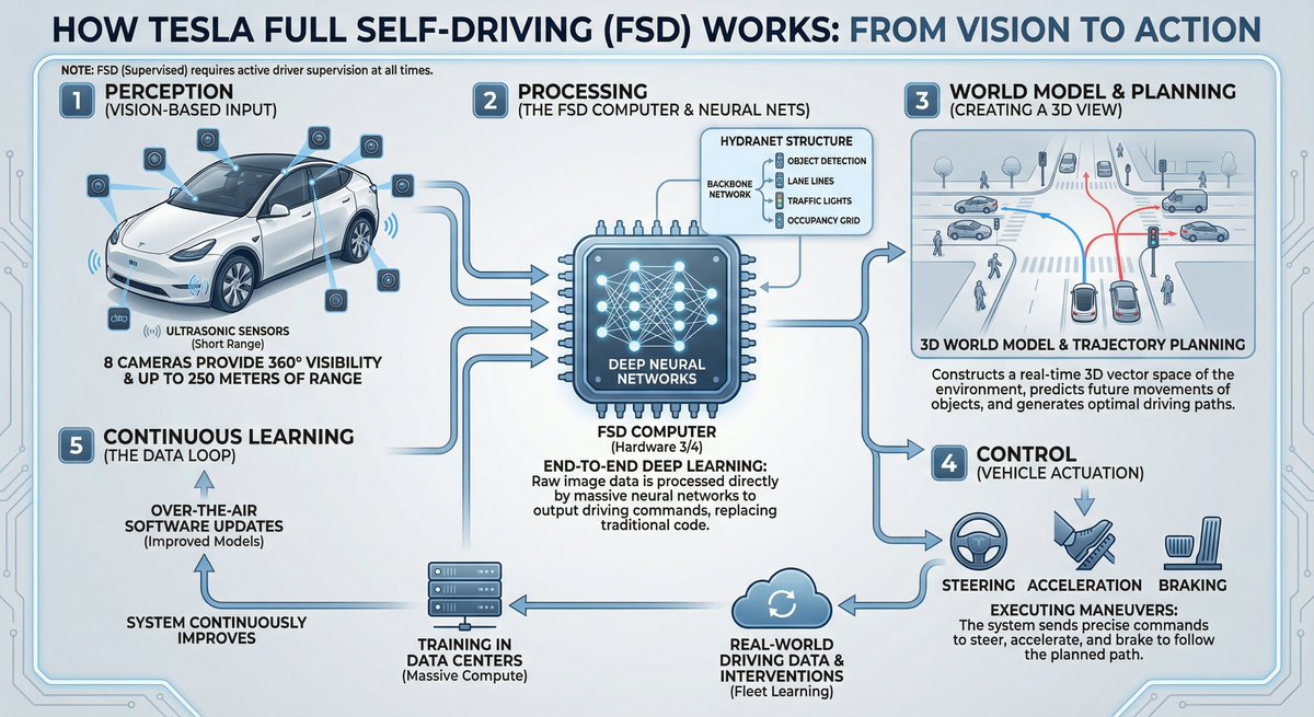 Tesla FSD Infographic