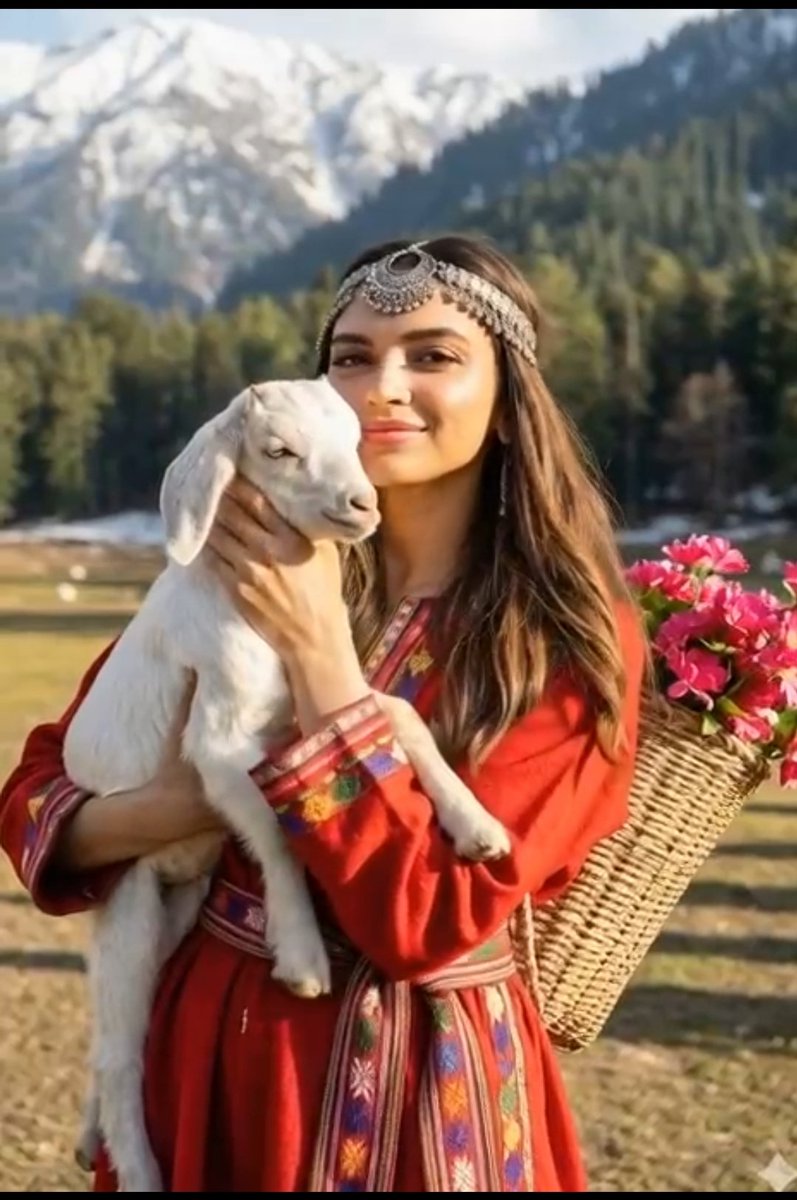 Himalayan Shepherdess Golden Hour