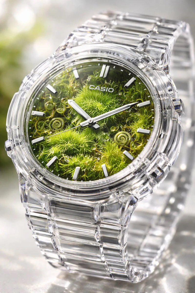 Crystal Terrarium Watch Design