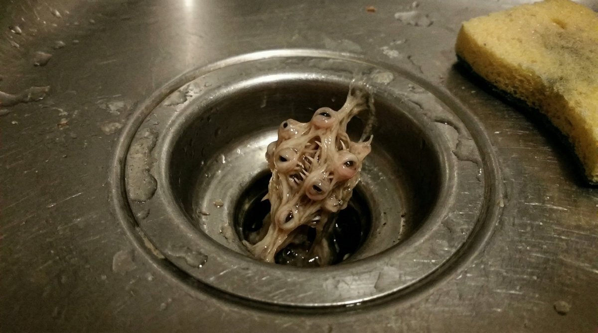 Unsettling Everyday Horror