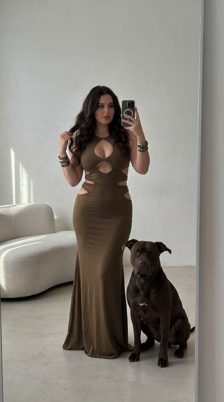 Olive Dress Mirror Selfie With Pitbull