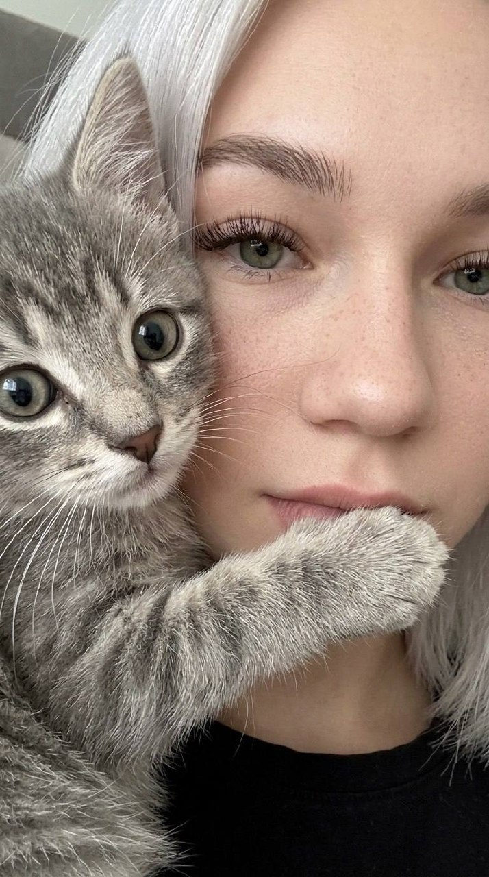 Kitten Gently Covers Girl's Lips in Close-Up Selfie