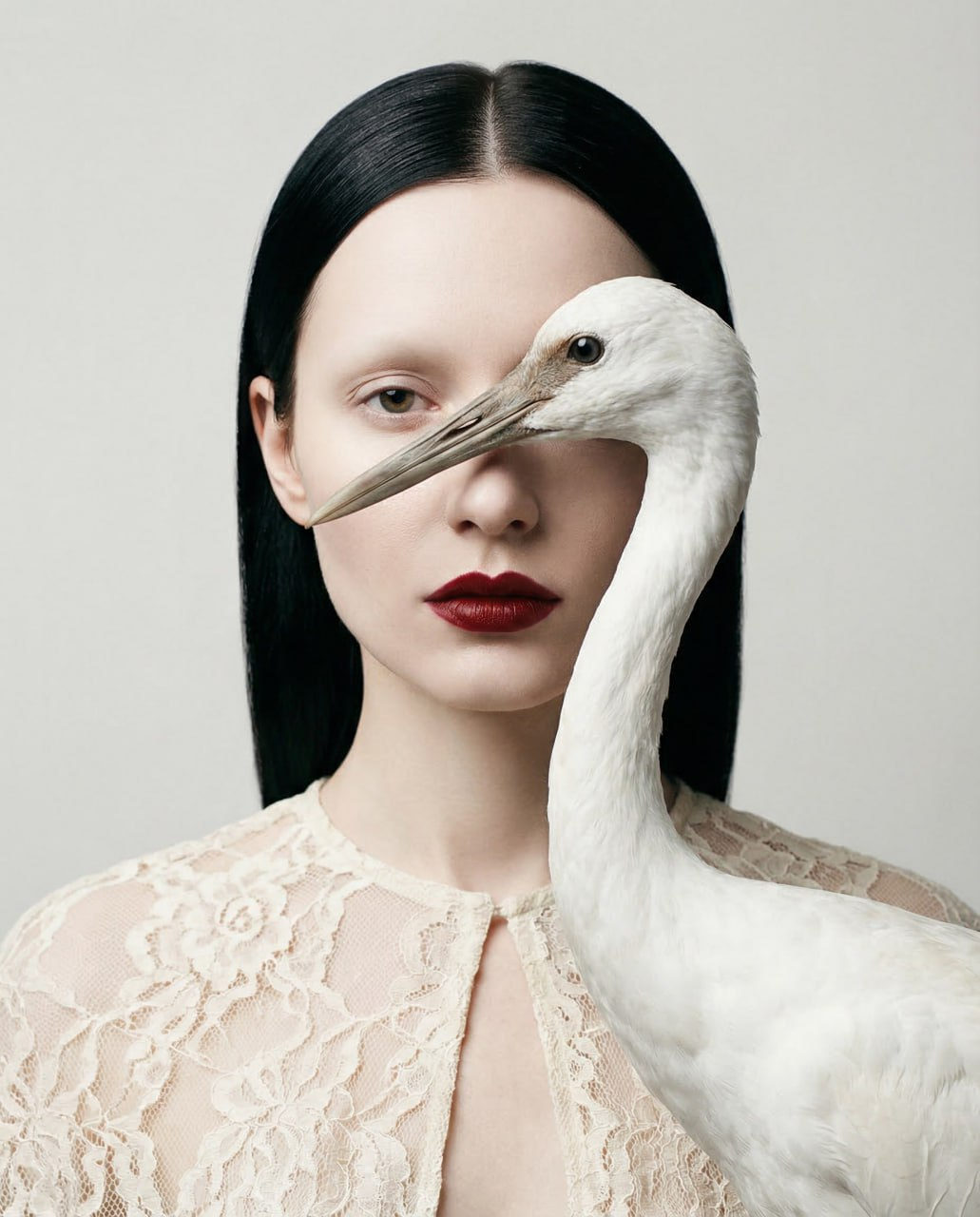 Surreal Crane Woman Portrait Fusion