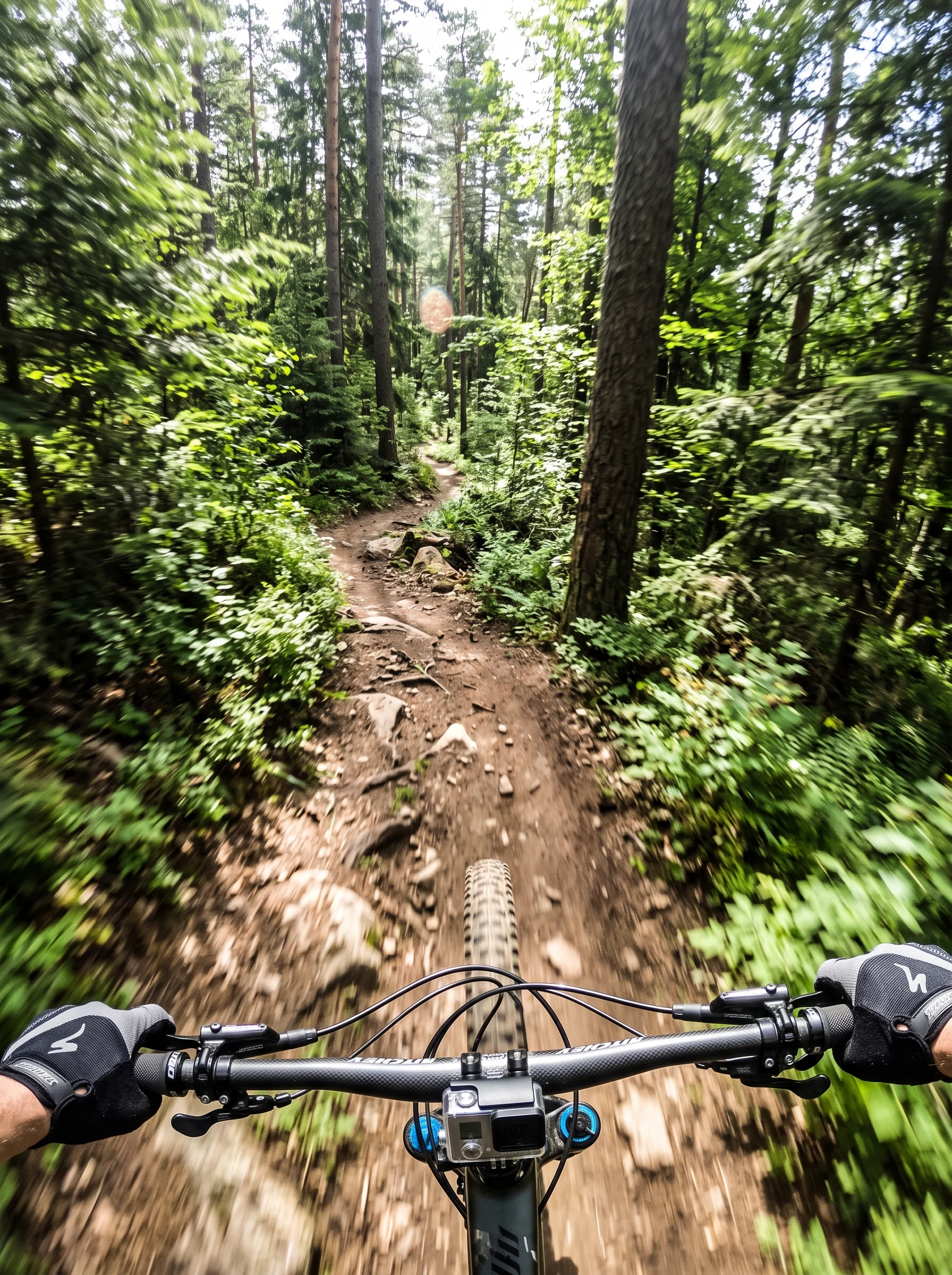 Forest MTB Trail Rush