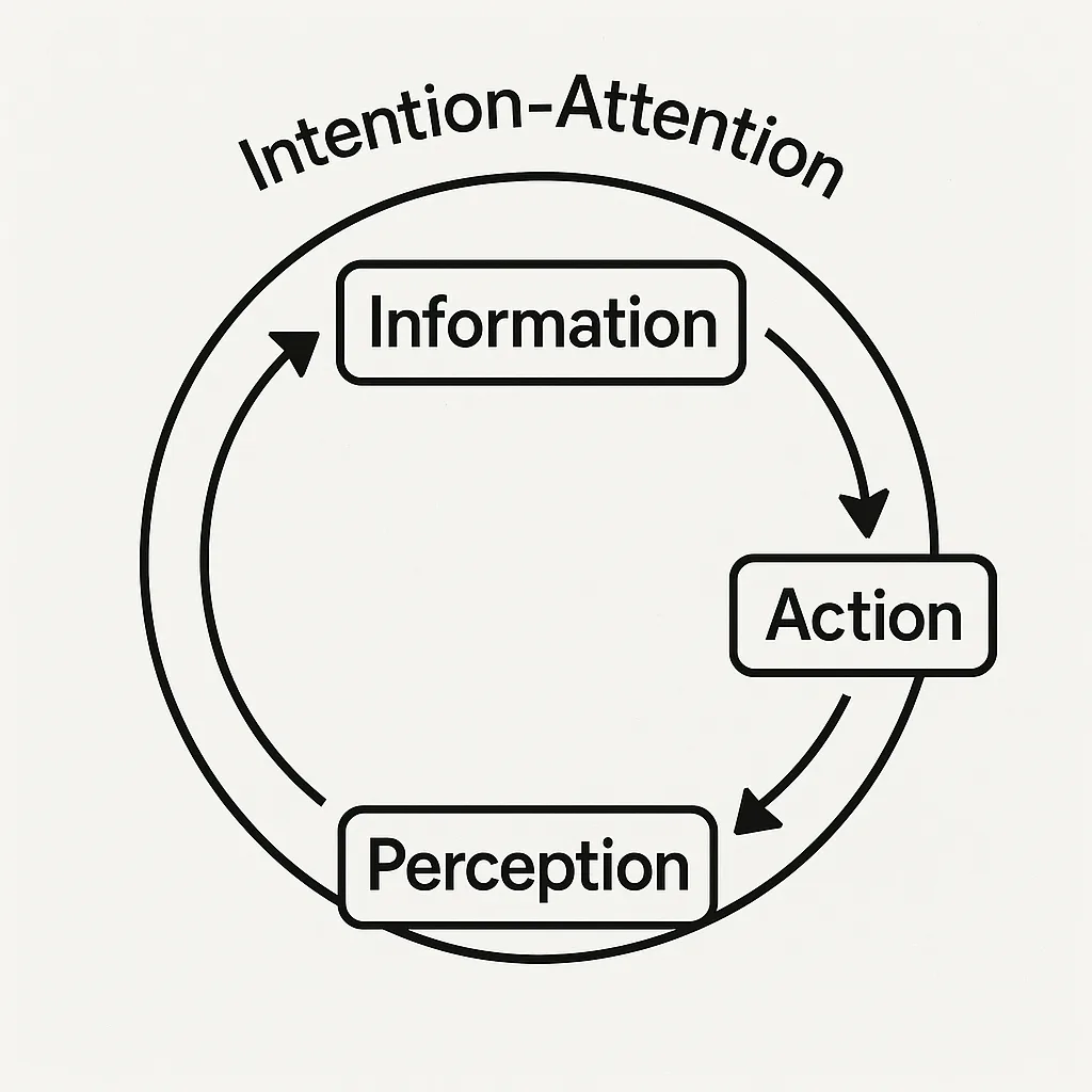 Circular Diagram Illustrating the Cycle of "Information," "Action,"