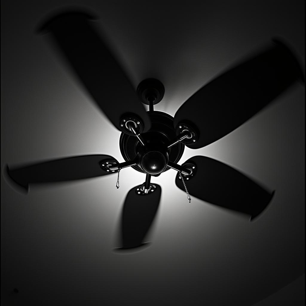 Ceiling Fan in Grainy High Contrast Black and White