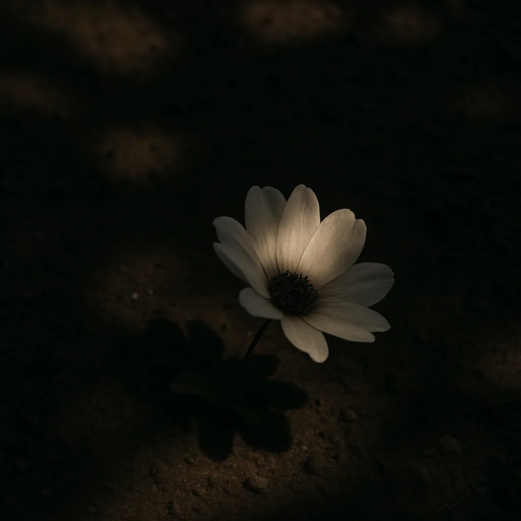 Lone Flower Graces the Ground