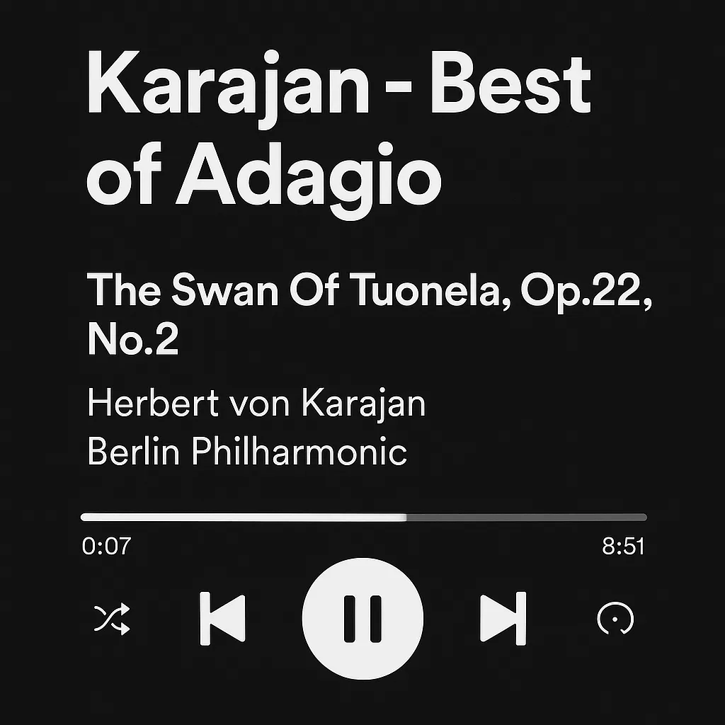 Spotify Playlist Screen Displaying "Karajan - Best of Adagio"