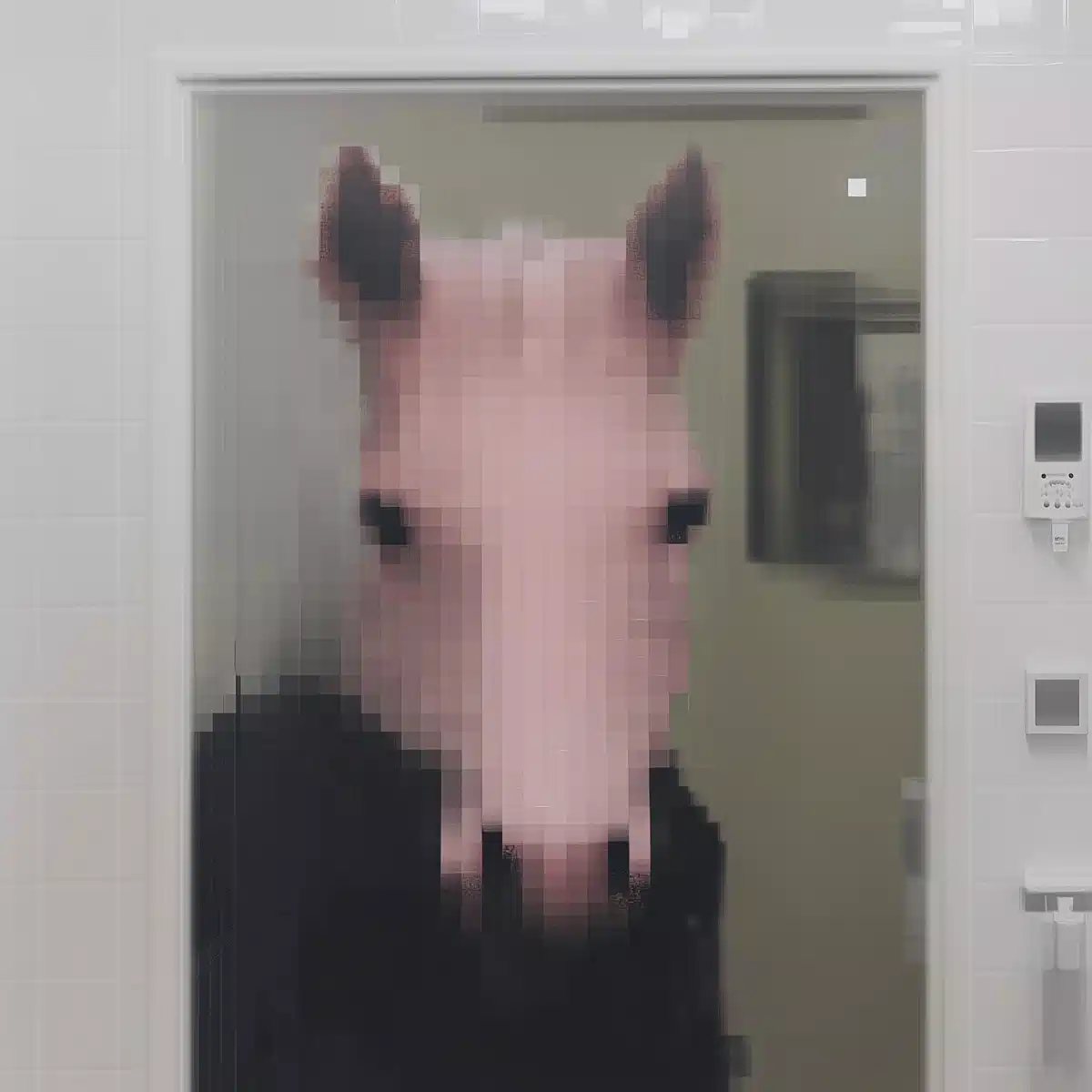 Pink Horse In Bathroom