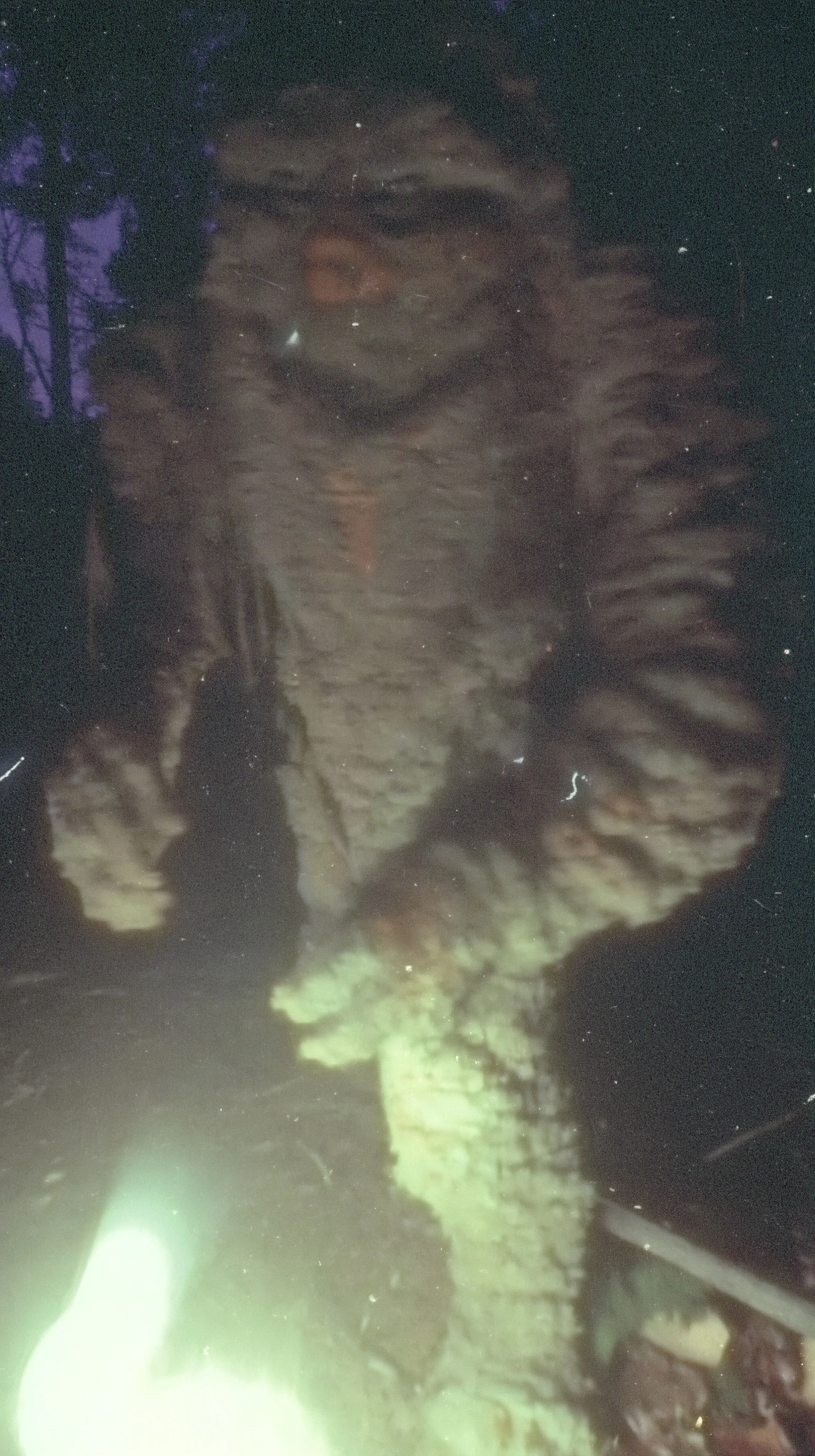 Close up of a massive humanoid forest creature at night, low angle, face and upper torso only