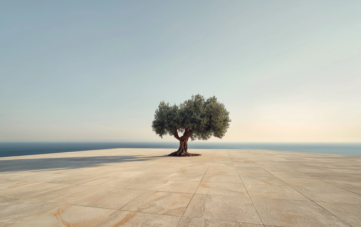 An olive tree in the middle of an empty terrace with light-colored stone tiles