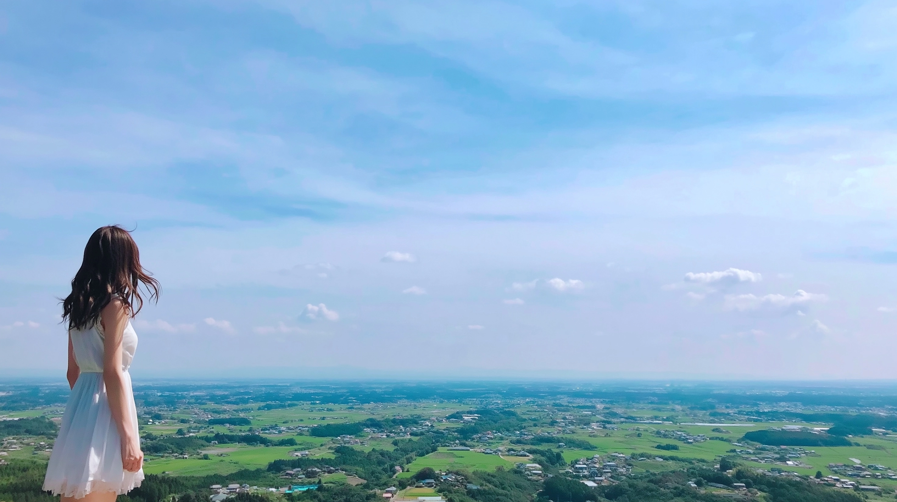 Aerial Shot of a Japanese Woman in Vast Farmland