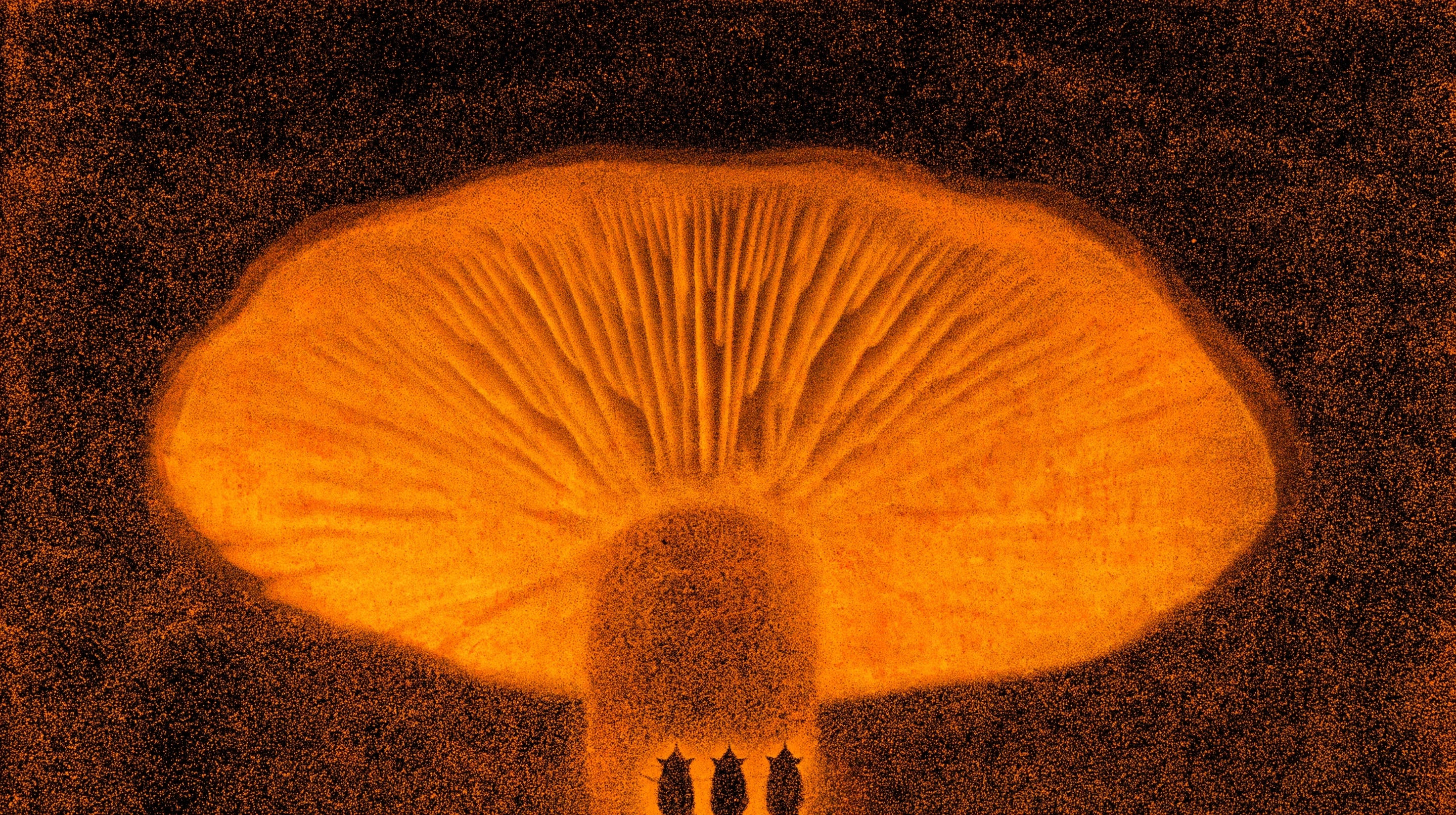 Three tiny recurring gnomes standing before a single enormous mushroom-oracle