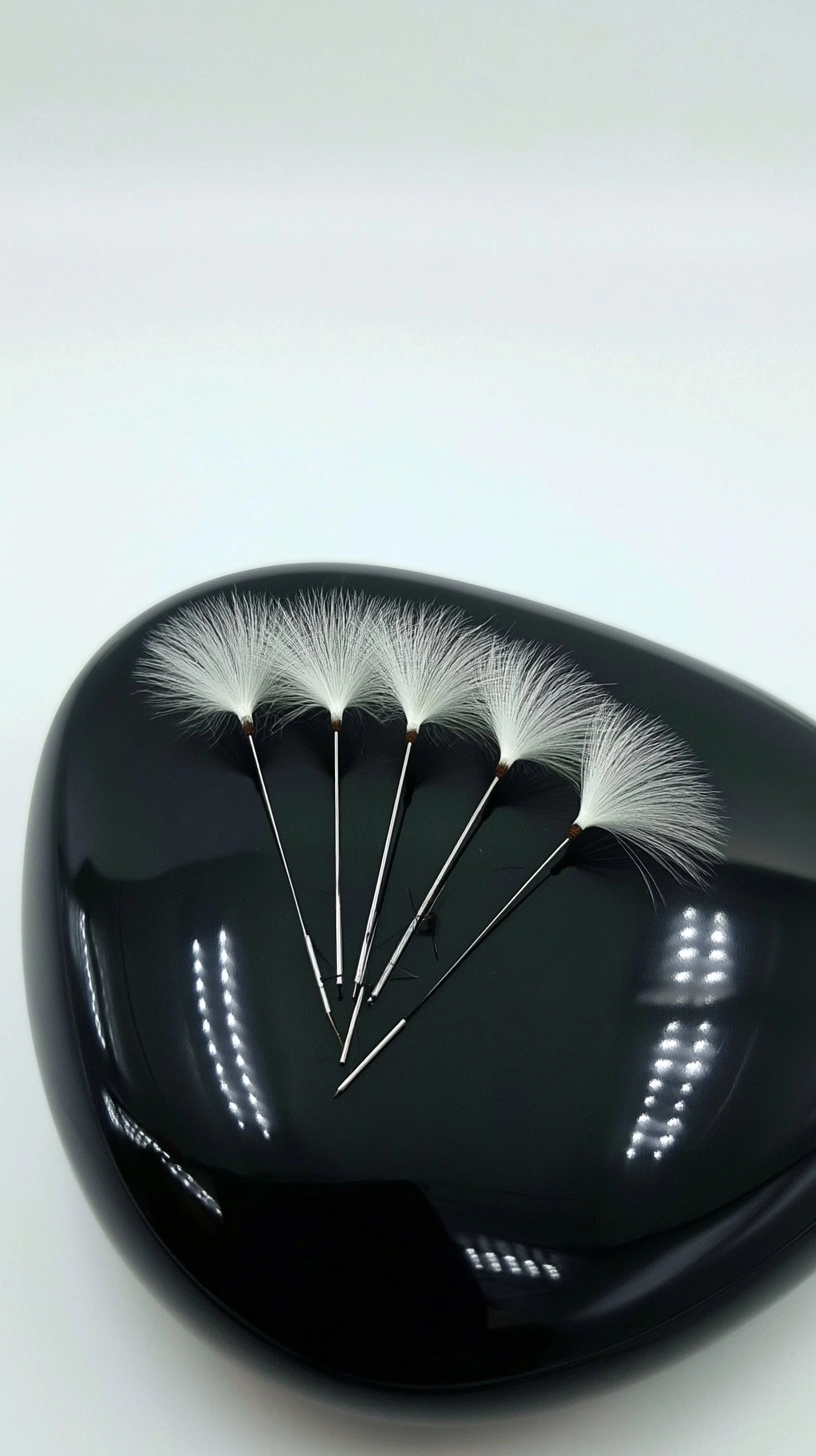 Five dandelion parachute seeds resting on a glossy black stone - the transformation happens as a smo