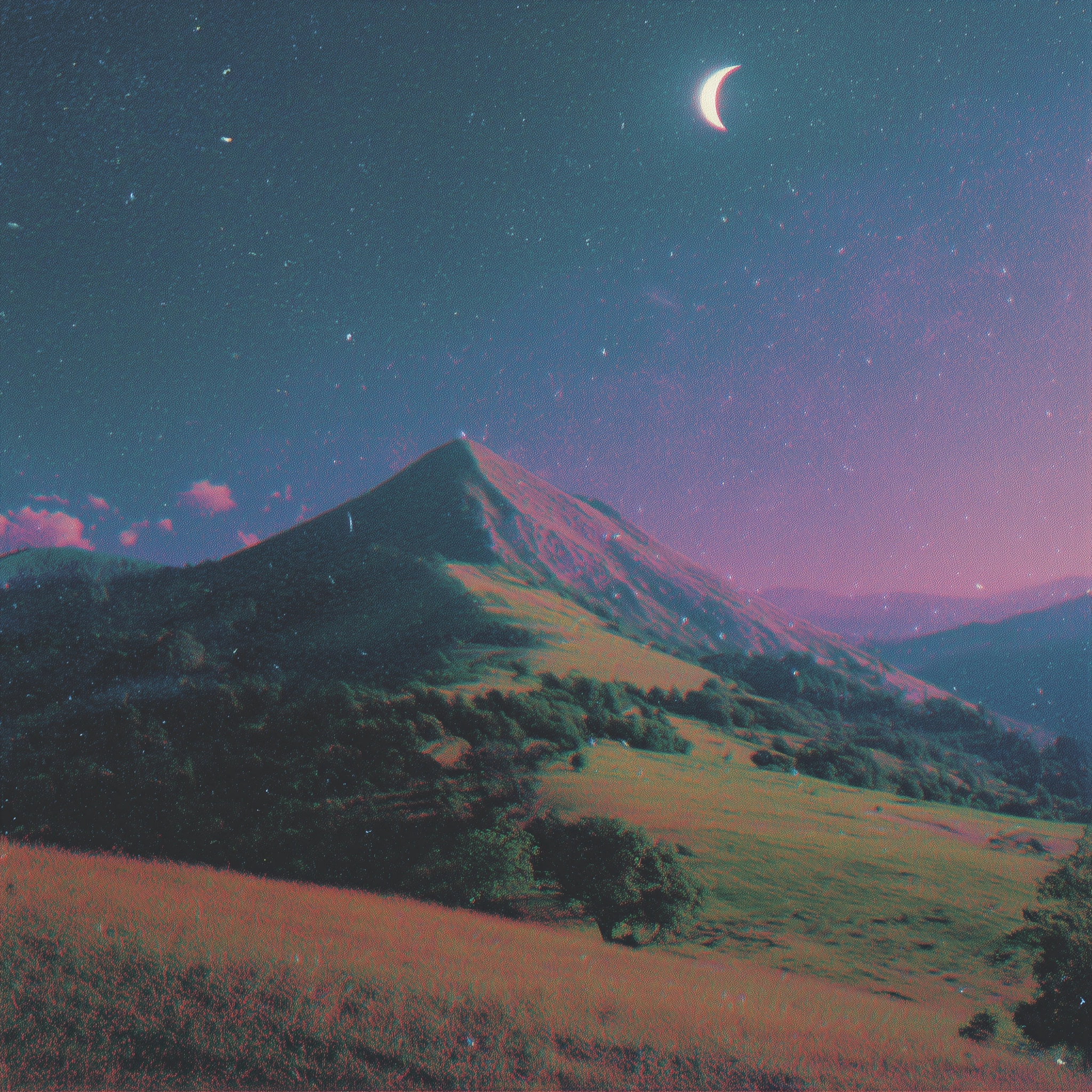 Natural photo, lofi, camera, beautiful, spotify cover, vibes, no people, grainy