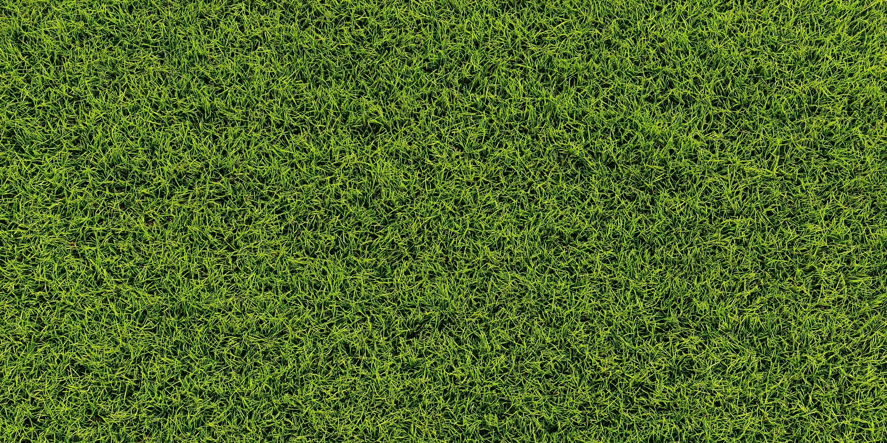 Lawn, Taken from directly above. seamless pattern