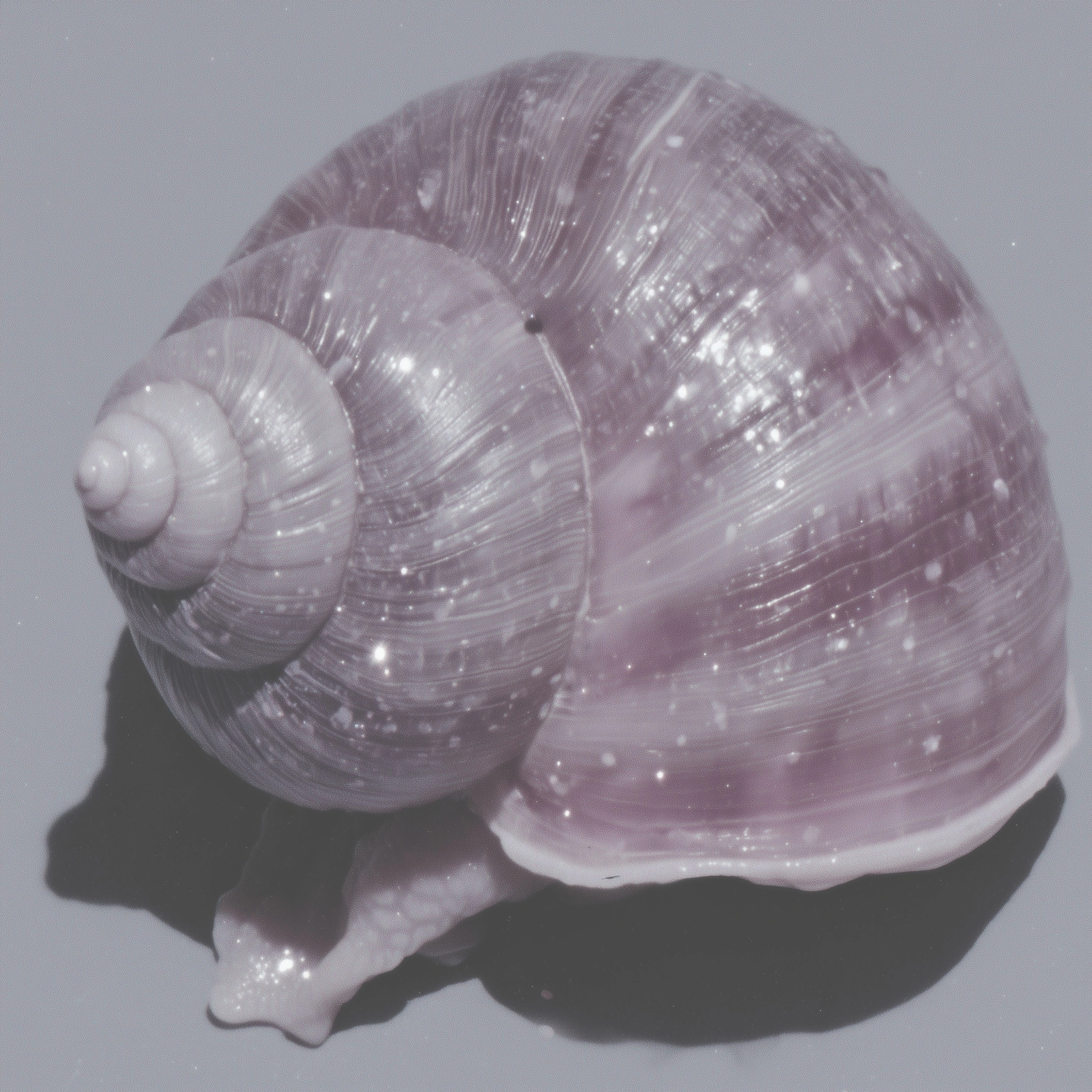 An artistic extreme macro of a snail body surface, pearlescent moist texture, soft organic folds