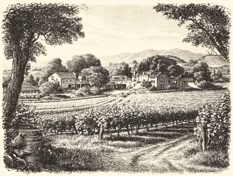 Detailed engraving of a vineyard in California, intended as a promotional image for wine. The image