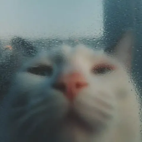 Hyper Realistic Cat Portrait 3