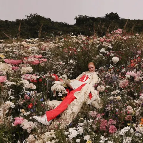 Flower field with laptop