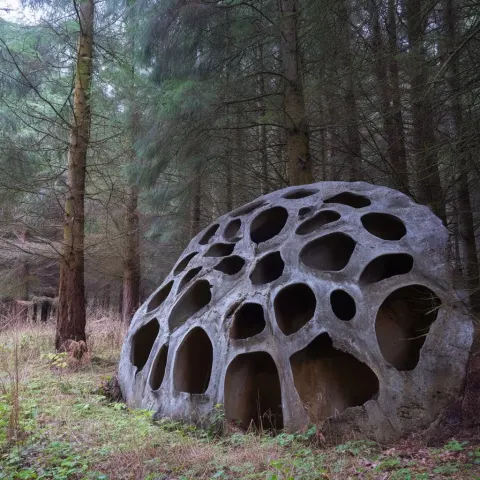A forest comprised of colossal scale Giant poppy seed pods