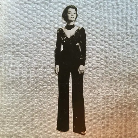 A woman wearing a full body suit but it is made of real velvet but its a cut out paper person collag