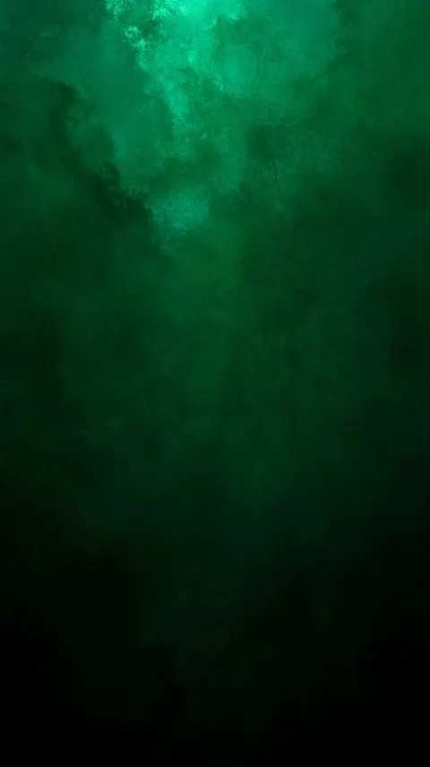 Abstract dark green background