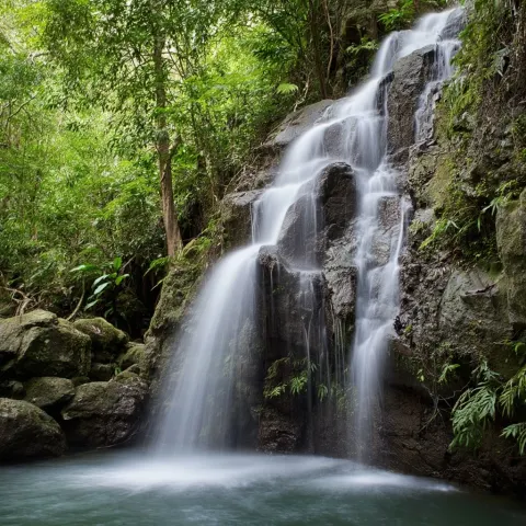 Photo of a waterfall in the jungle 1:1