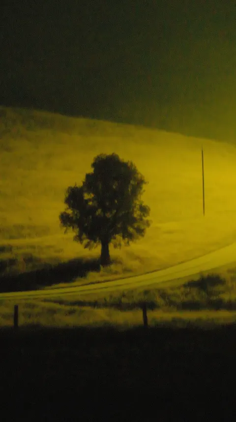 Abstract, grainy monochrome black-and-yellow style image with strong motion blur. a lone tree in a f