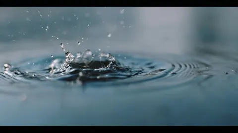 Mayfly Breaking the Water Surface, Experimental Film Still