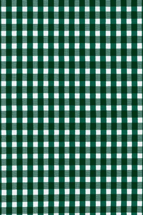 Book cover, back page, dark emerald green, gingham, pattern, vintage, crisp color tones.