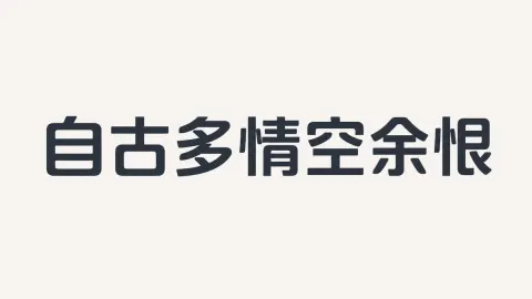 Chinese Typography Sans-Serif Design