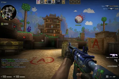 Counter-Strike x Terraria Screenshot Mashup