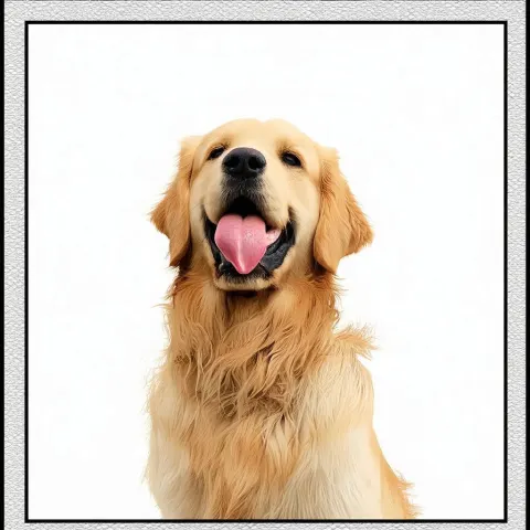 Golden Retriever Grinning in a Comic Panel