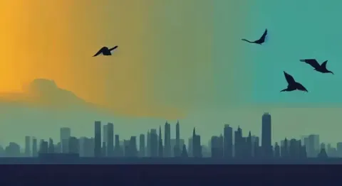 City Silhouette With A Seagull