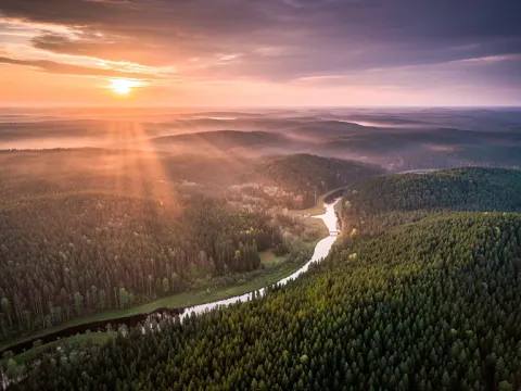 Aerial Forest At Sunset