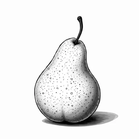 Pear in Striking Black and White Line Art