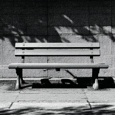 Lone Bench in Grainy Tri X Shadow