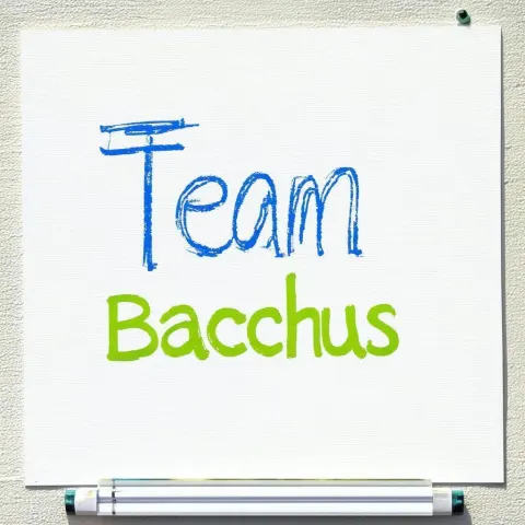 Team Bacchus Logo in Playful Whiteboard Lines