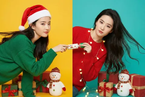 Christmas Interaction Photo with Dual Panels
