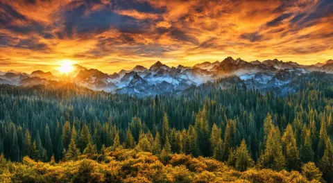 Epic Forest Mountain Landscape with a Majestic Sunrise