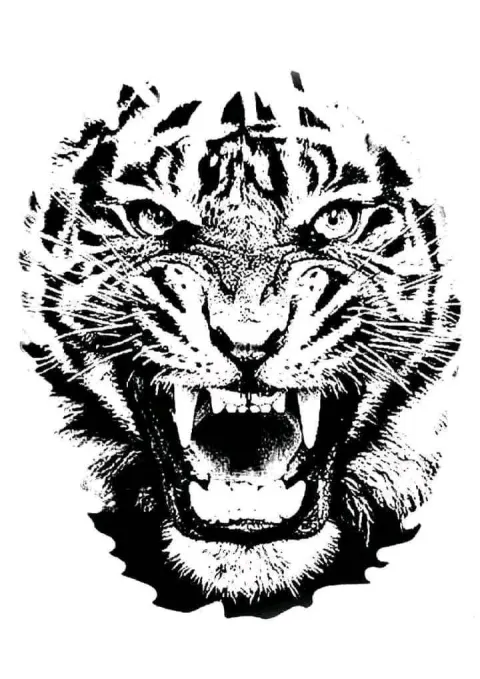 SVG: Tiger
