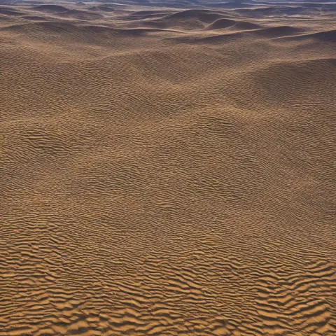Artwork Showing Desert Dunes Filled with Hundreds of Hourglass